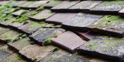 Capel Parc roof repair costs